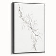 Vintage Botanical Art Prints – Delicate Branch Pencil Drawing
