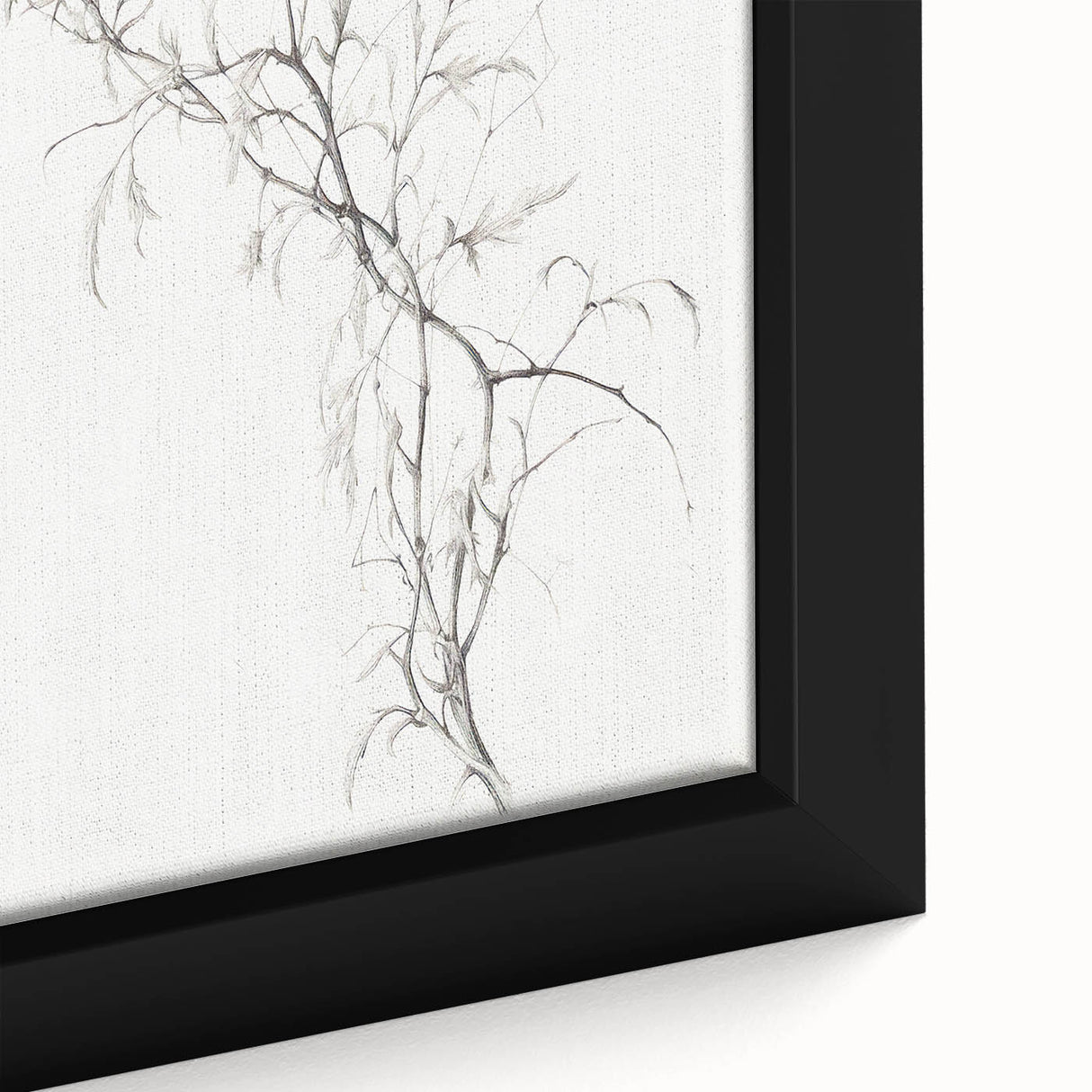 Vintage Botanical Art Prints – Delicate Branch Pencil Drawing