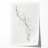 Vintage Botanical Art Prints – Delicate Branch Pencil Drawing