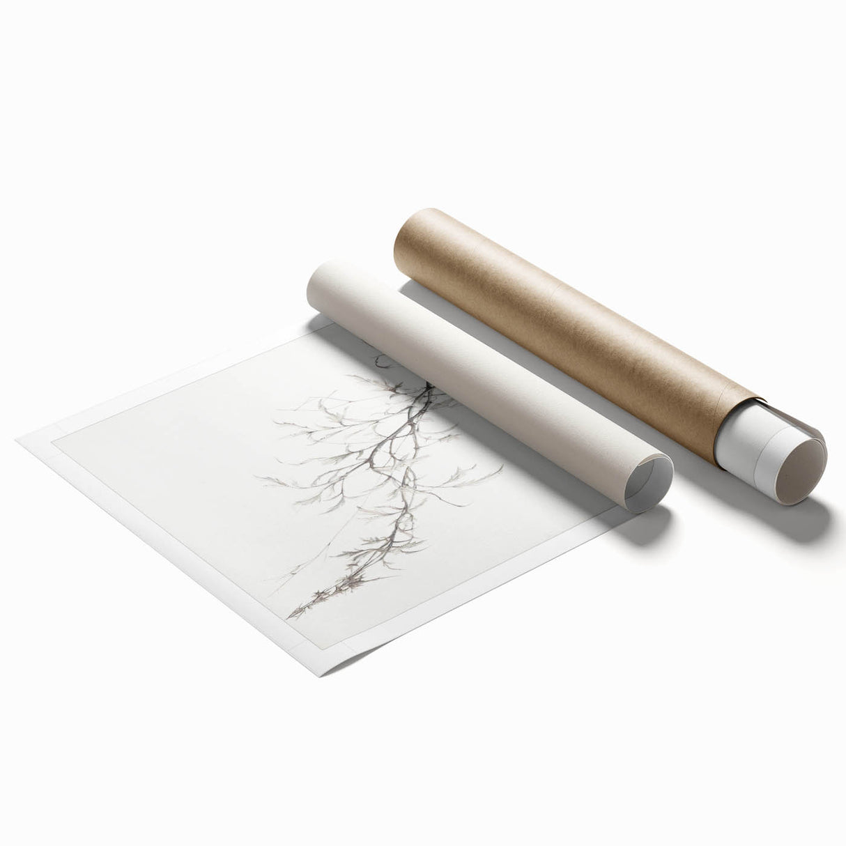Vintage Botanical Art Prints – Delicate Branch Pencil Drawing