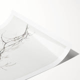 Vintage Botanical Art Prints – Delicate Branch Pencil Drawing