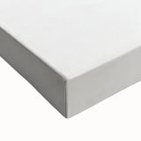 Vintage Botanical Art Prints – Delicate Branch Pencil Drawing