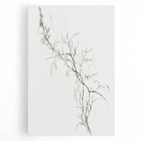 Vintage Botanical Art Prints – Delicate Branch Pencil Drawing