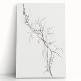 Vintage Botanical Art Prints – Delicate Branch Pencil Drawing
