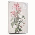Vintage Botanical Art Print - Pink Floral Illustration – Framed