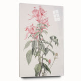 Vintage Botanical Art Print - Pink Floral Illustration – Framed