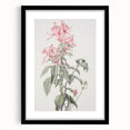 Vintage Botanical Art Print - Pink Floral Illustration – Framed