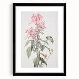 Vintage Botanical Art Print - Pink Floral Illustration – Framed