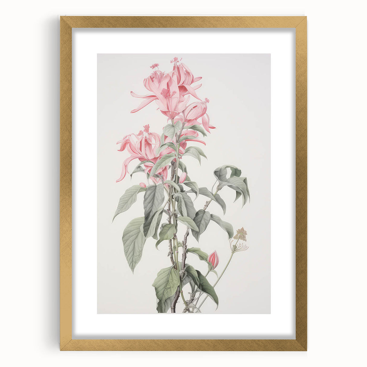 Vintage Botanical Art Print - Pink Floral Illustration – Framed
