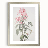 Vintage Botanical Art Print - Pink Floral Illustration – Framed