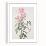 Vintage Botanical Art Print - Pink Floral Illustration – Framed