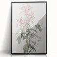 Vintage Botanical Art Print - Pink Floral Illustration – Framed