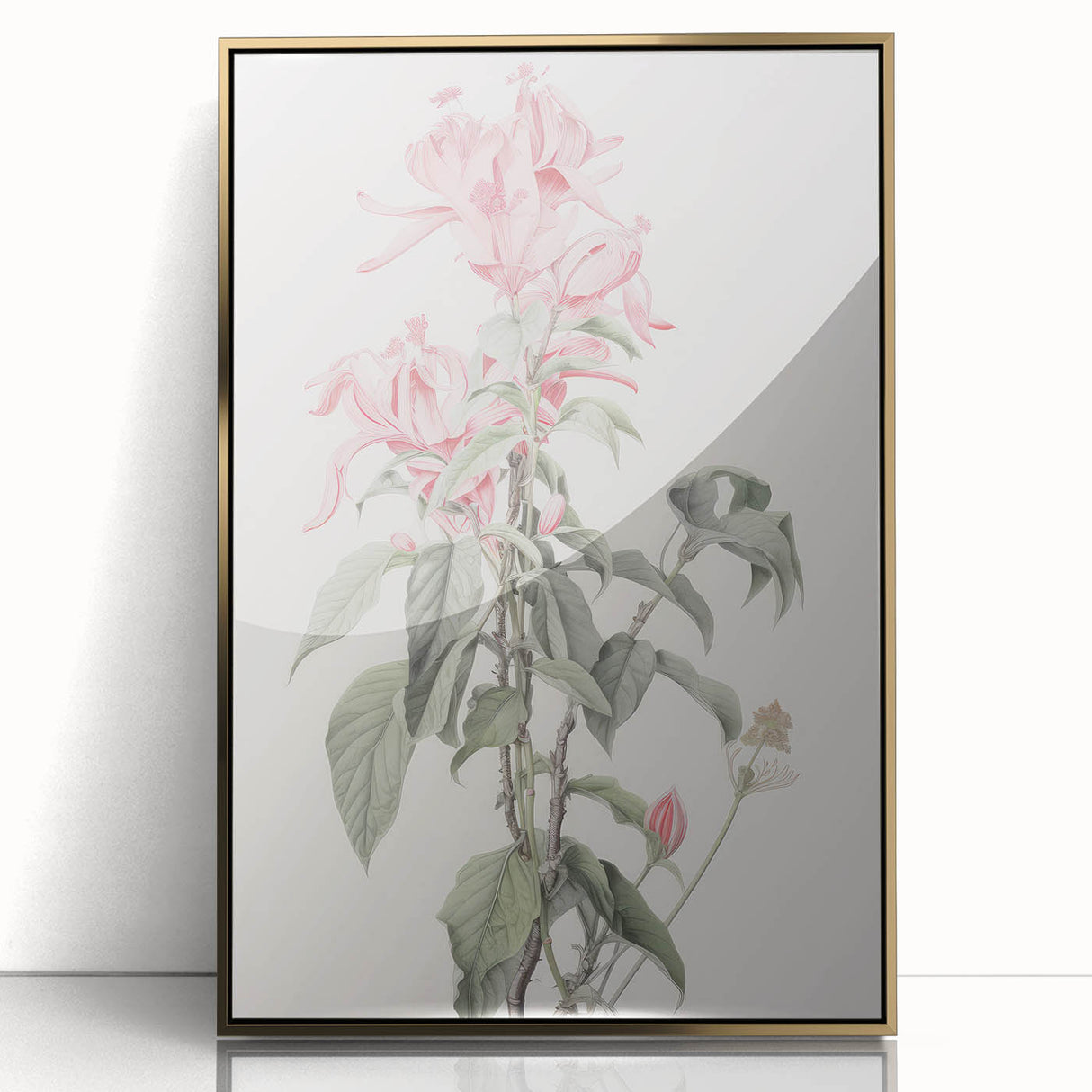 Vintage Botanical Art Print - Pink Floral Illustration – Framed