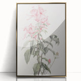 Vintage Botanical Art Print - Pink Floral Illustration – Framed