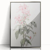 Vintage Botanical Art Print - Pink Floral Illustration – Framed