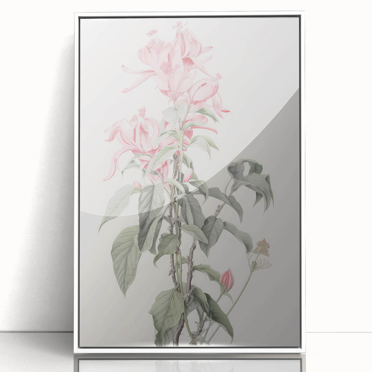 Vintage Botanical Art Print - Pink Floral Illustration – Framed