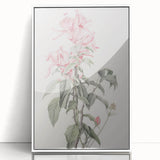 Vintage Botanical Art Print - Pink Floral Illustration – Framed