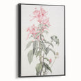Vintage Botanical Art Print - Pink Floral Illustration – Framed