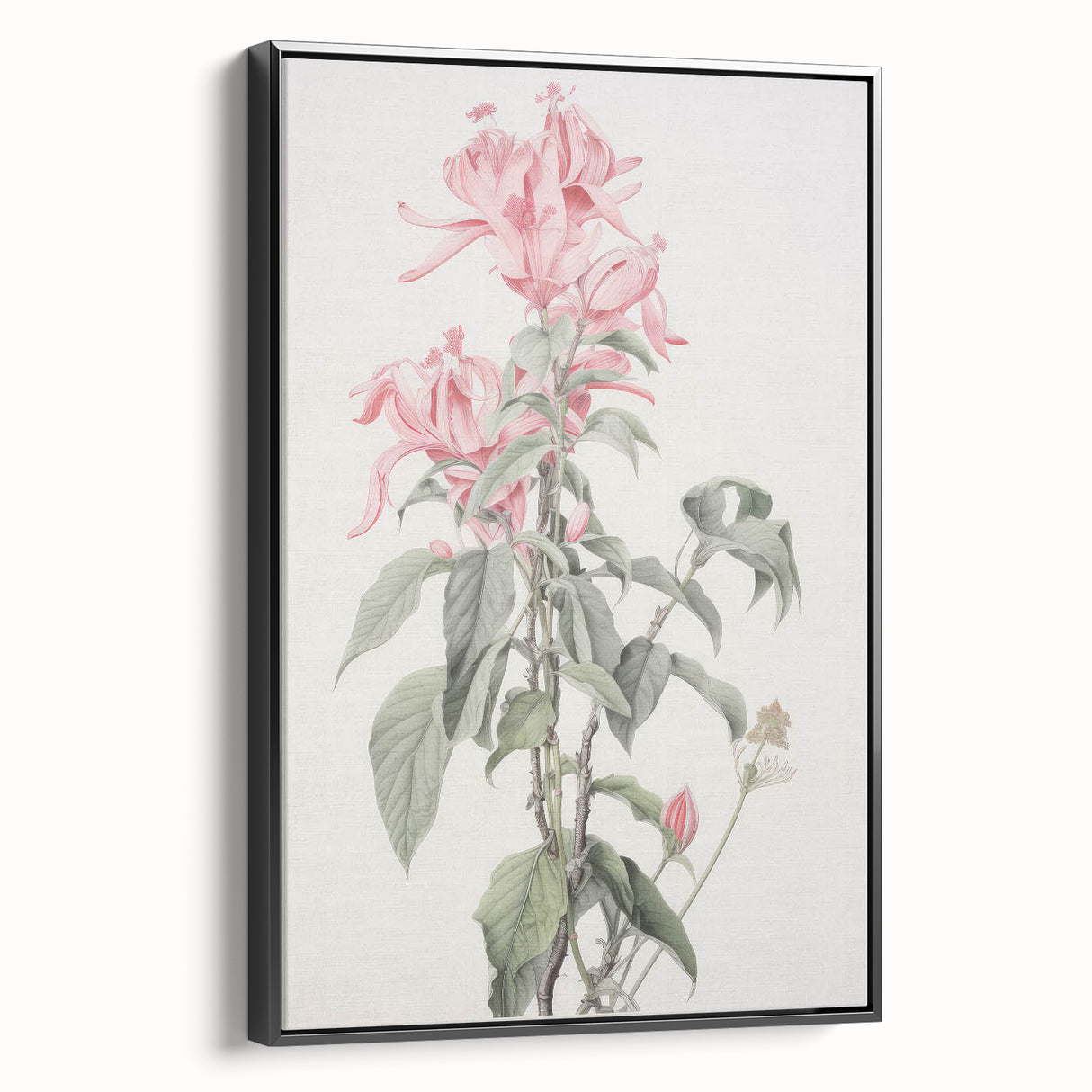Vintage Botanical Art Print - Pink Floral Illustration – Framed