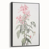 Vintage Botanical Art Print - Pink Floral Illustration – Framed