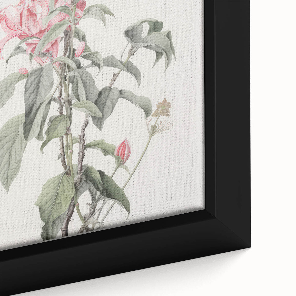 Vintage Botanical Art Print - Pink Floral Illustration – Framed