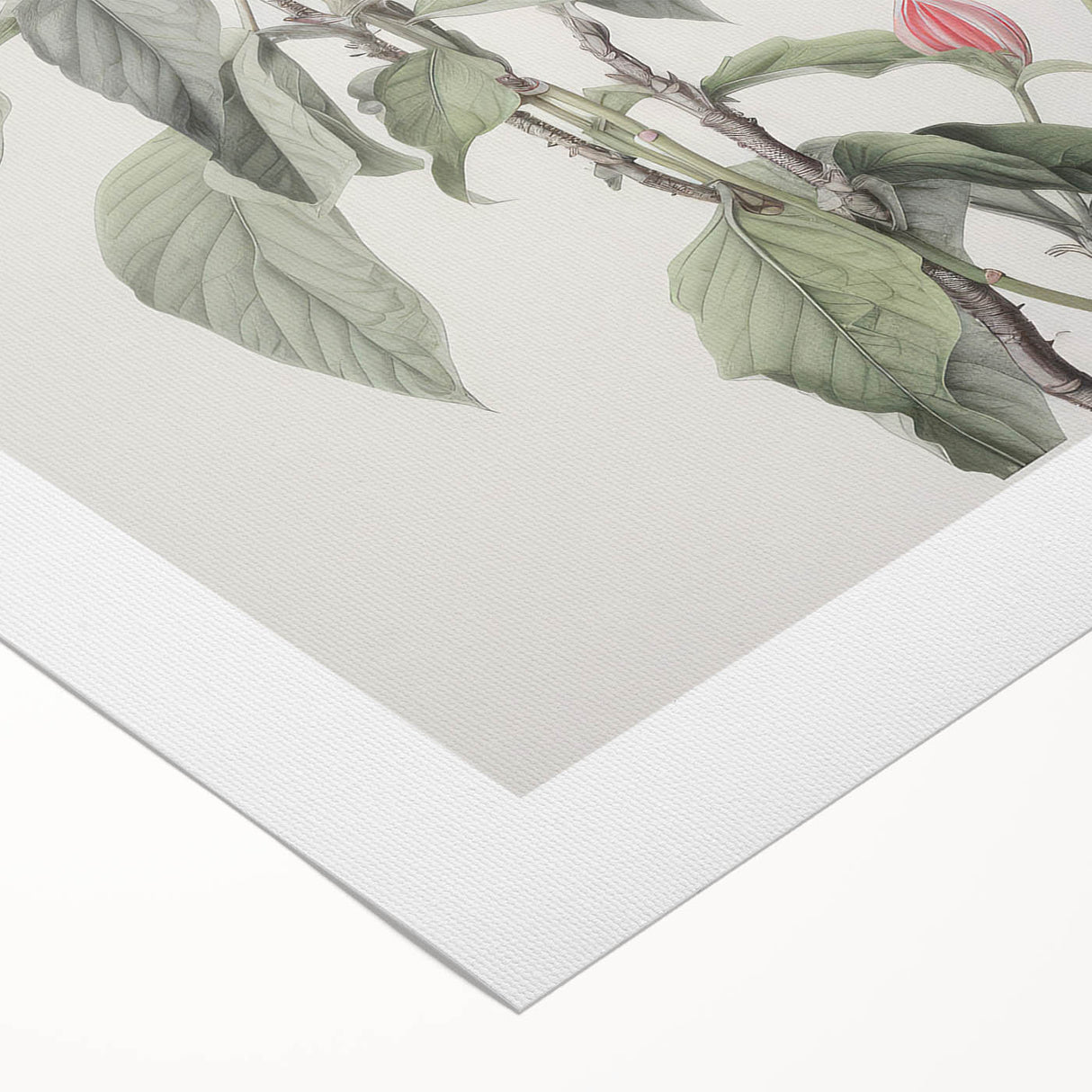Vintage Botanical Art Print - Pink Floral Illustration – Framed