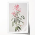 Vintage Botanical Art Print - Pink Floral Illustration – Framed