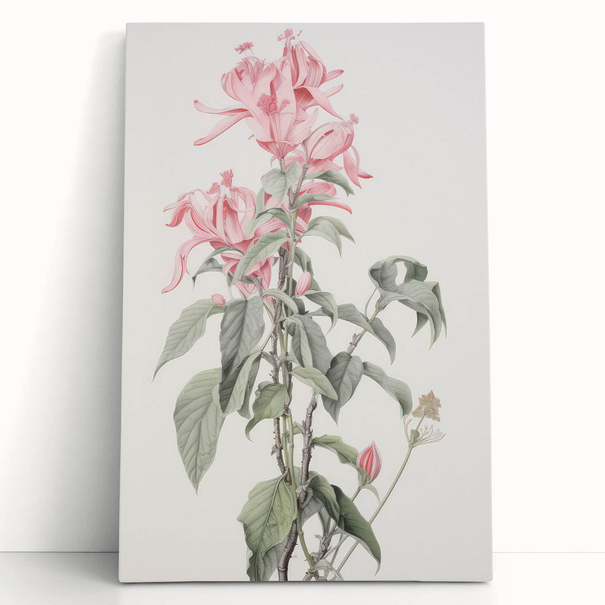 Vintage Botanical Art Print - Pink Floral Illustration – Framed