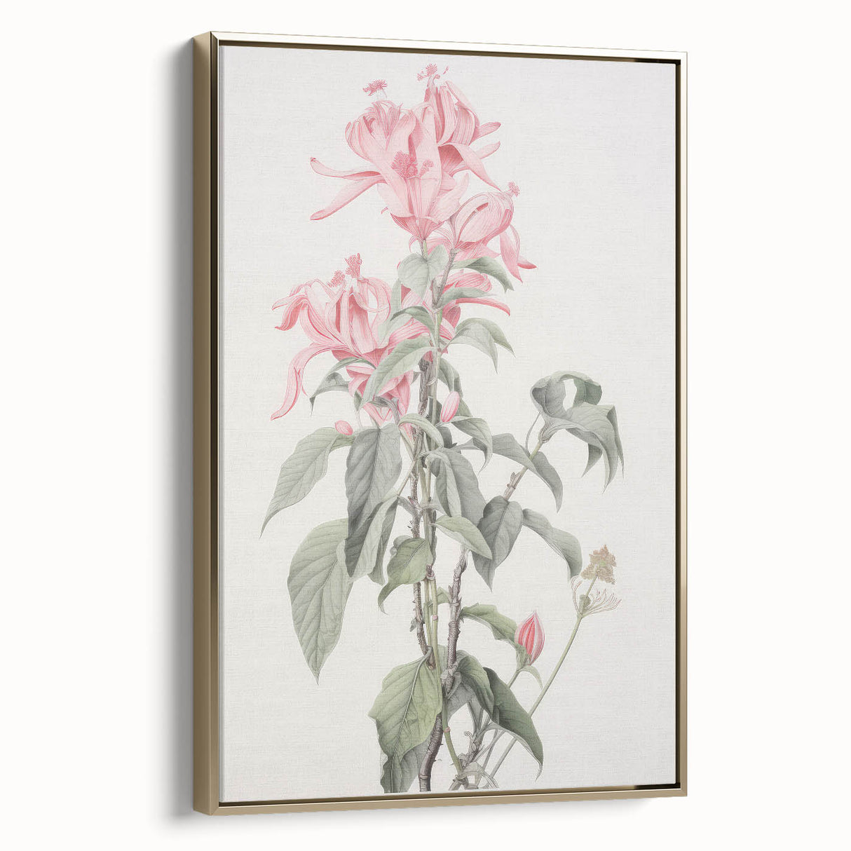 Vintage Botanical Art Print - Pink Floral Illustration – Framed