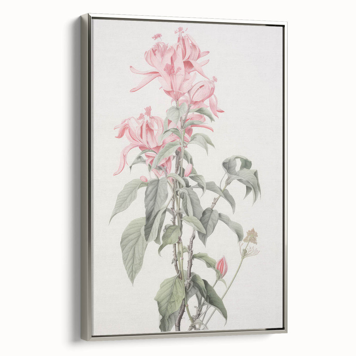 Vintage Botanical Art Print - Pink Floral Illustration – Framed