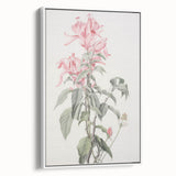 Vintage Botanical Art Print - Pink Floral Illustration – Framed