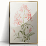 Vintage Botanical Art Print - Pink Flower Illustration – Framed
