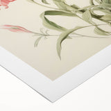 Vintage Botanical Art Print - Pink Flower Illustration – Framed