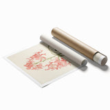 Vintage Botanical Art Print - Pink Flower Illustration – Framed