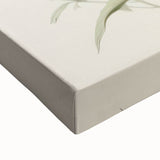 Vintage Botanical Art Print - Pink Flower Illustration – Framed