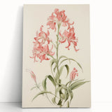 Vintage Botanical Art Print - Pink Flower Illustration – Framed