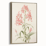 Vintage Botanical Art Print - Pink Flower Illustration – Framed