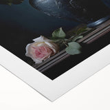 Vintage Botanical Art Print - Roses in Black Vase – Framed