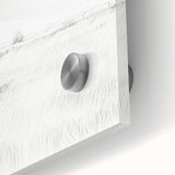 Vintage Botanical Art Print - Tree Sketch in Field – Framed