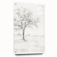 Vintage Botanical Art Print - Tree Sketch in Field – Framed