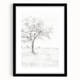 Vintage Botanical Art Print - Tree Sketch in Field – Framed