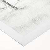 Vintage Botanical Art Print - Tree Sketch in Field – Framed