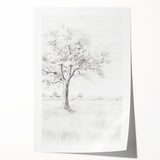 Vintage Botanical Art Print - Tree Sketch in Field – Framed