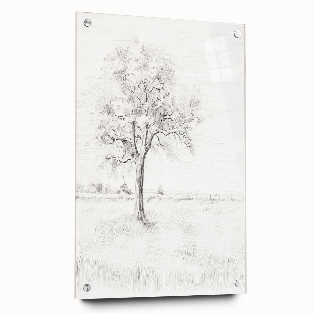 Vintage Botanical Art Print - Tree Sketch in Field – Framed