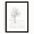 Vintage Botanical Art Print - Tree Sketch in Field – Framed