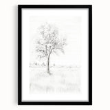 Vintage Botanical Art Print - Tree Sketch in Field – Framed