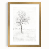 Vintage Botanical Art Print - Tree Sketch in Field – Framed