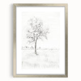 Vintage Botanical Art Print - Tree Sketch in Field – Framed