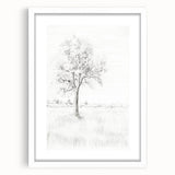 Vintage Botanical Art Print - Tree Sketch in Field – Framed