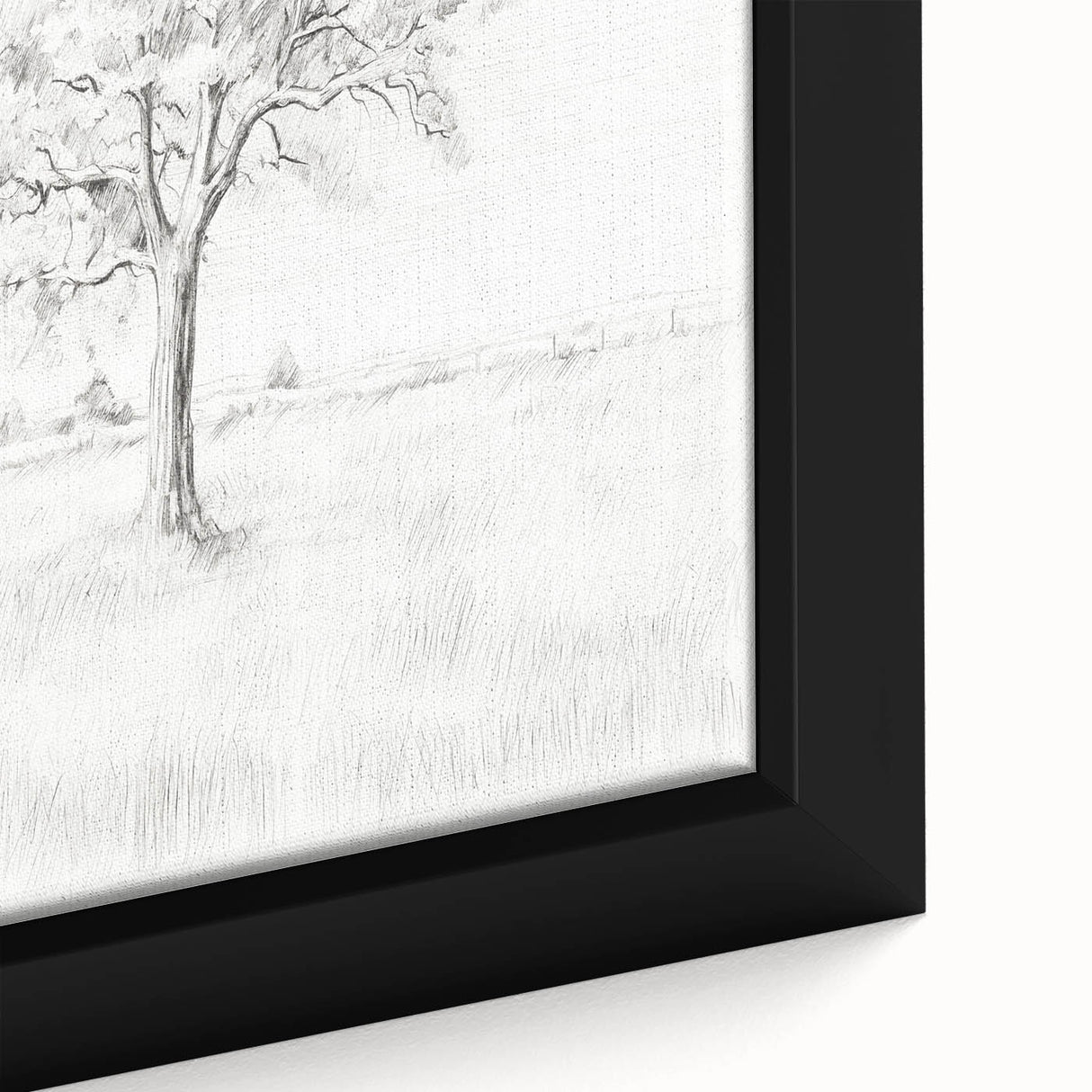 Vintage Botanical Art Print - Tree Sketch in Field – Framed